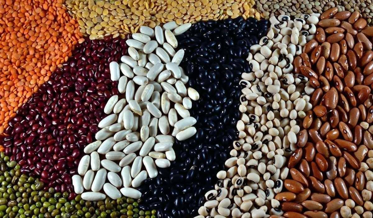 Pulses seeds