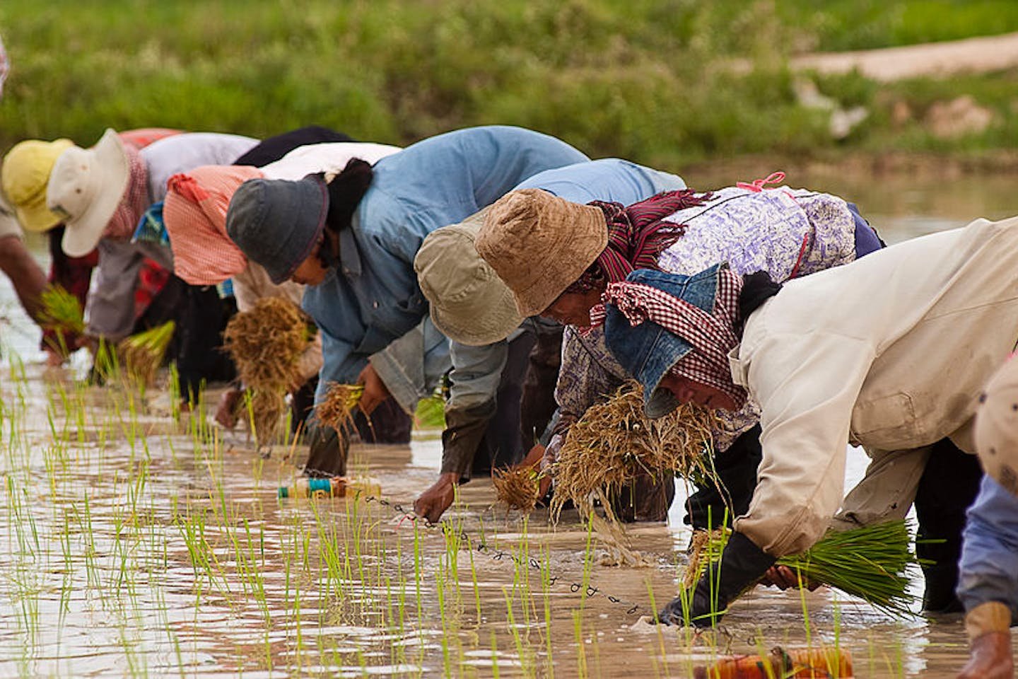 Farmers