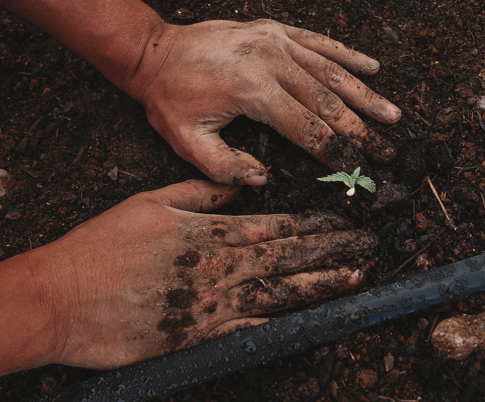 Agri seeds & services Slider